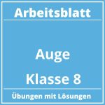 Arbeitsblatt Auge Klasse 8