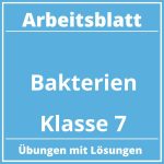 Arbeitsblatt Bakterien Klasse 7