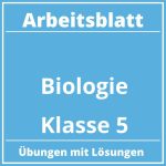 Arbeitsblatt Biologie Klasse 5