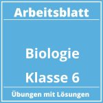 Arbeitsblatt Biologie Klasse 6