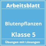 Blütenpflanzen Arbeitsblatt Klasse 5