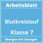 Blutkreislauf Arbeitsblatt Klasse 7