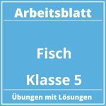 Arbeitsblatt Fisch Klasse 5