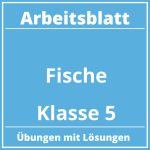 Arbeitsblatt Fische Klasse 5