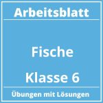 Arbeitsblatt Fische Klasse 6