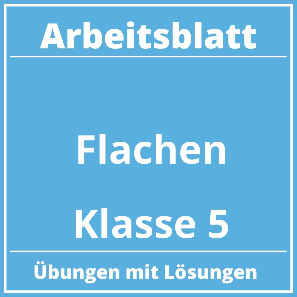 Arbeitsblatt Flächen Klasse 5