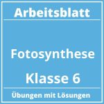 Fotosynthese Arbeitsblatt Klasse 6