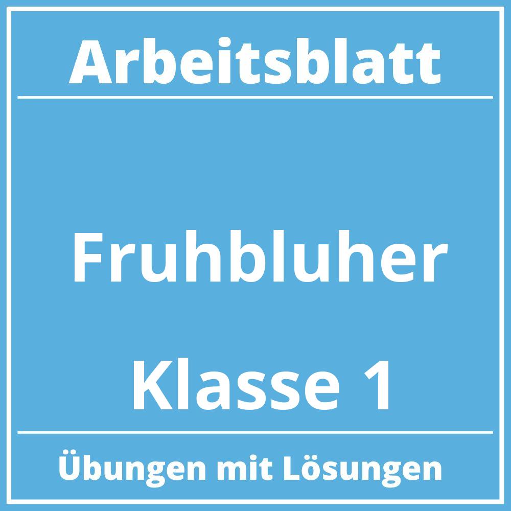 Arbeitsblatt Frühblüher Klasse 1