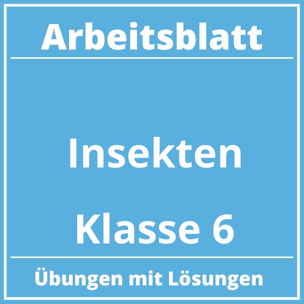 Arbeitsblatt Insekten Klasse 6