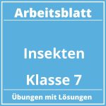 Arbeitsblatt Insekten Klasse 7