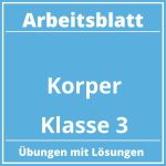 Arbeitsblatt Körper Klasse 3