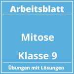 Mitose Arbeitsblatt Klasse 9