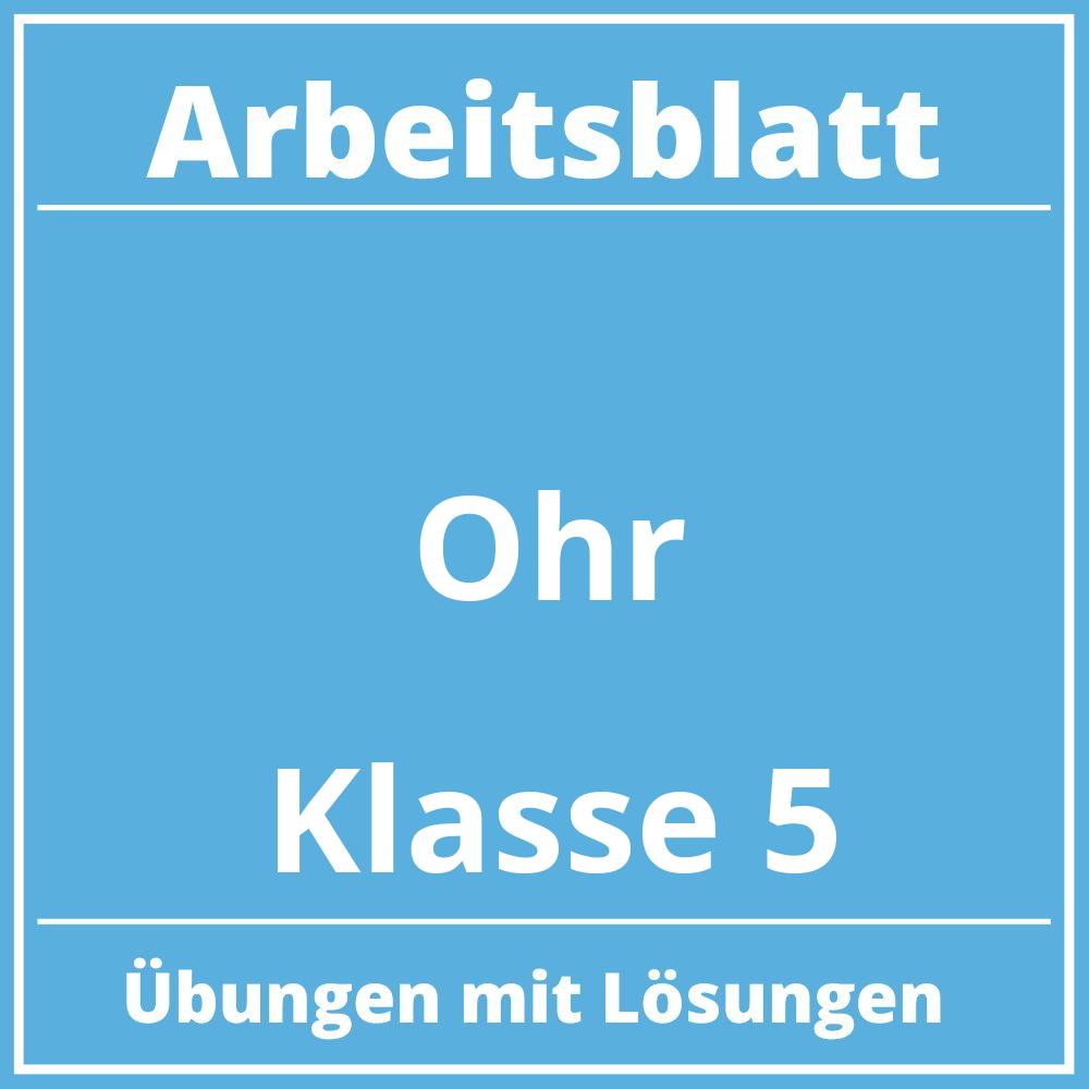 Arbeitsblatt Ohr Klasse 5