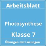 Photosynthese Arbeitsblatt Klasse 7