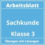 Arbeitsblatt Sachkunde Klasse 3