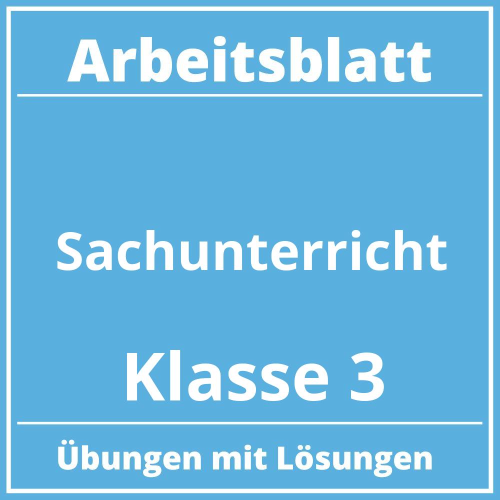 Arbeitsblatt Sachunterricht Klasse 3