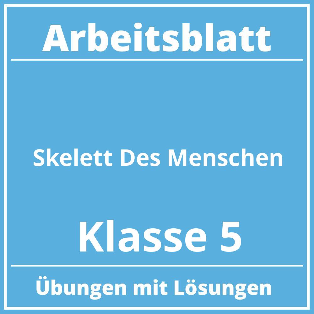 Skelett Des Menschen Arbeitsblatt Klasse 5