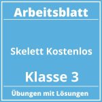 Skelett Arbeitsblatt Kostenlos Klasse 3