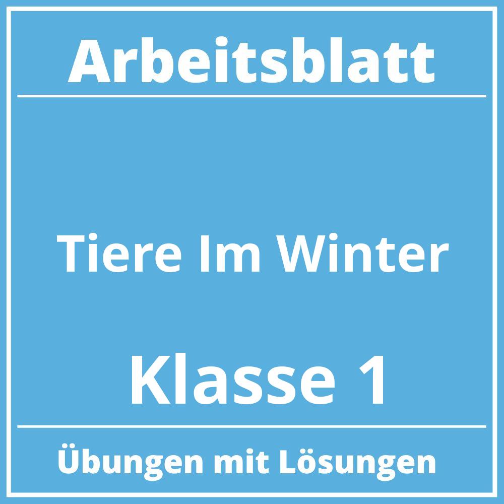 Arbeitsblatt Tiere Im Winter Klasse 1