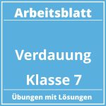 Verdauung Arbeitsblatt Klasse 7