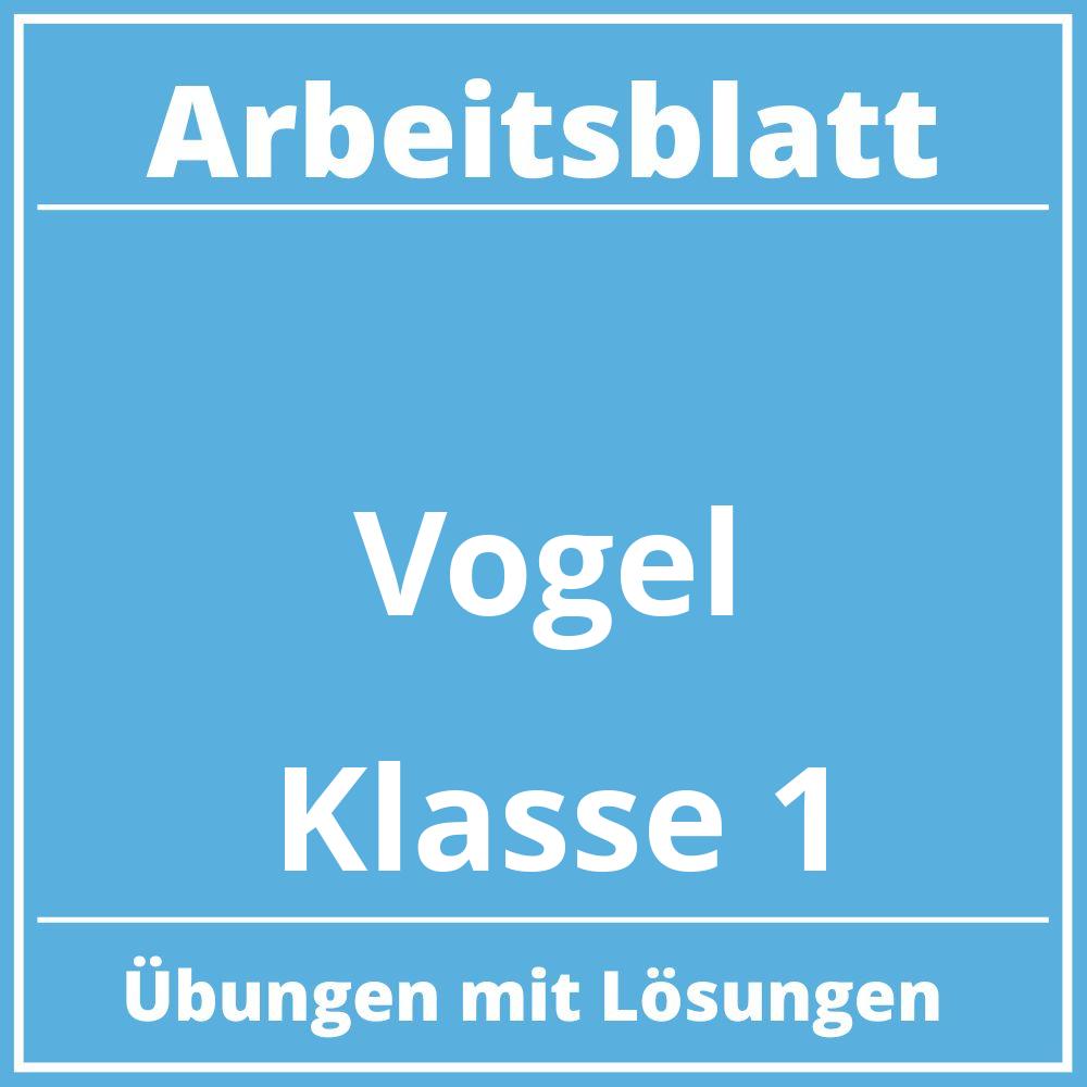 Arbeitsblatt Vögel Klasse 1