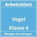 Arbeitsblatt Vögel Klasse 6