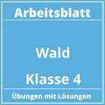 Arbeitsblatt Wald Klasse 4