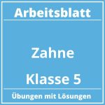 Arbeitsblatt Zähne Klasse 5