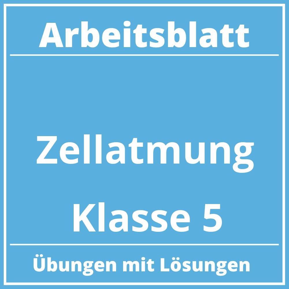 Zellatmung Arbeitsblatt Klasse 5