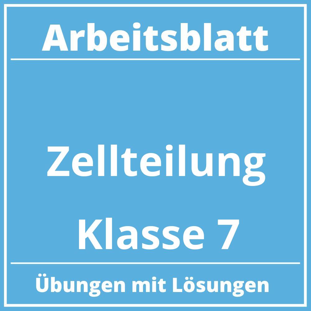 Arbeitsblatt Zellteilung Klasse 7